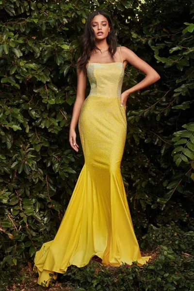Ladivine Cd0179 Lace Long Formal Fitted Evening Prom Dress In Yellow