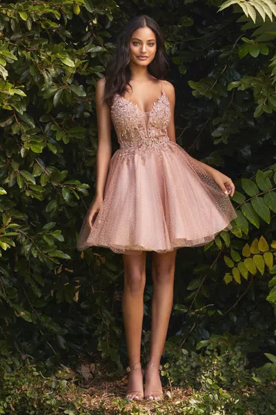 Ladivine Cd0189 Lace Applique Short Prom Dress In Pink