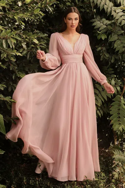 Ladivine Cd0192 Long Sleeve Evening Formal Dress In Pink