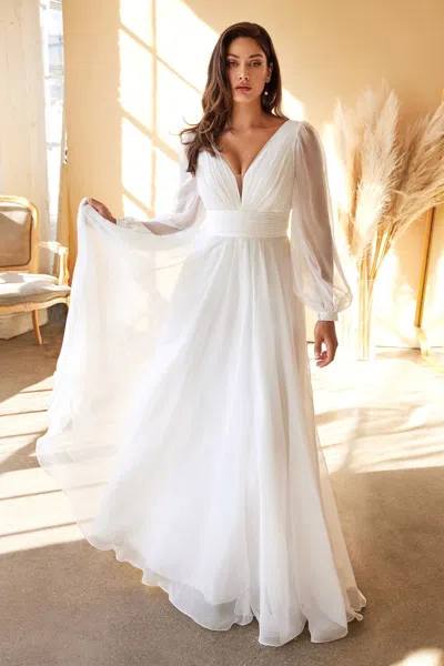 Ladivine Cd0192w Flowy Long Plus Size A Line Wedding Dress In White