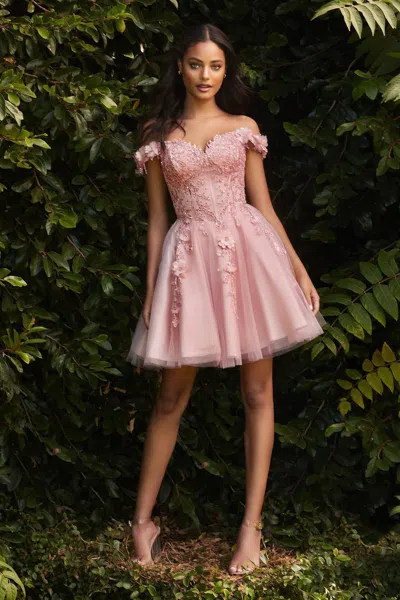 Ladivine Cd0194 Off Shoulder Short Tulle Graduation Dress In Pink