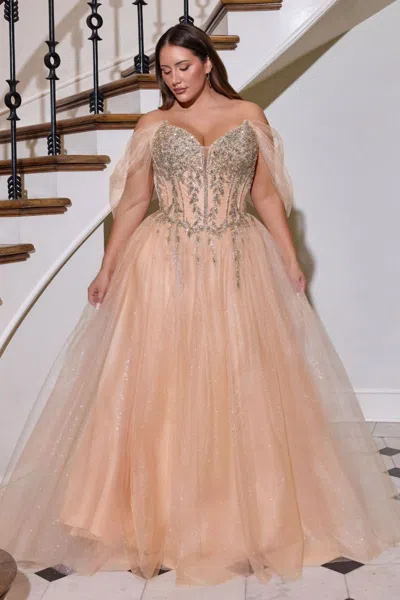Ladivine Cd721c Corset Beaded Formal Long A Line Plus Size Dress In Orange
