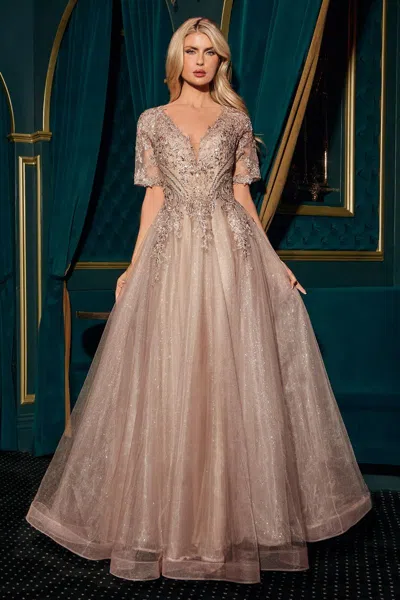 Ladivine Cd726 Long Mother Of The Bride Formal Dress In Brown