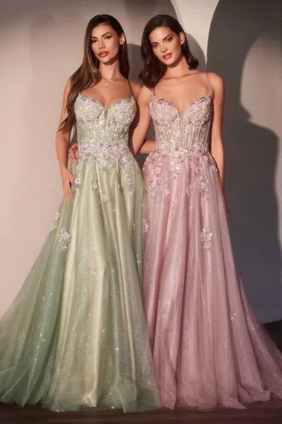 Ladivine Cd740 A Line Long Formal Applique Corset Prom Dress In Multi