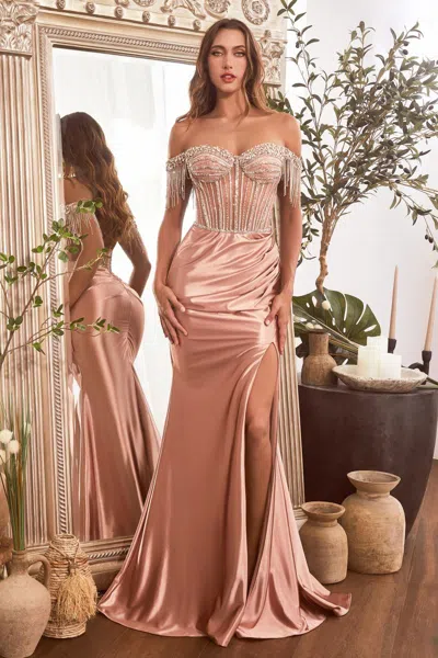 Ladivine Cd821 Prom Formal Long Fringe Dress In Pink