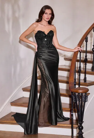 Ladivine Cds565 In Black