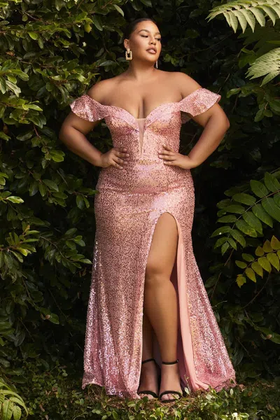 Ladivine Ch167c Sexy Formal Long Slit Prom Dress In Pink