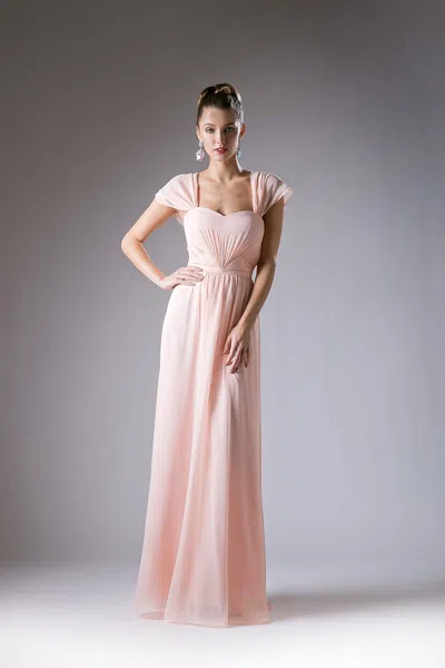 Ladivine Ch532 Long Prom A Line Evening Formal Dress In Pink