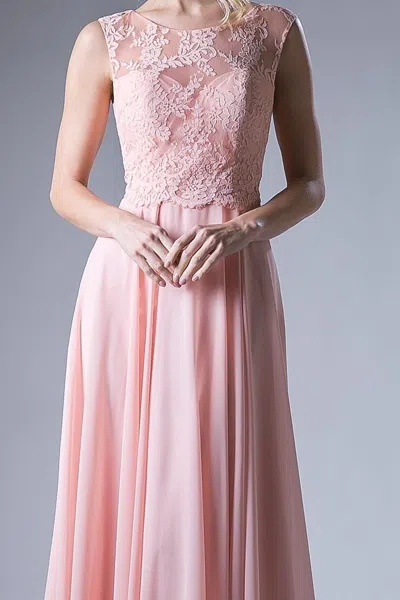 Ladivine Cj245 In Pink