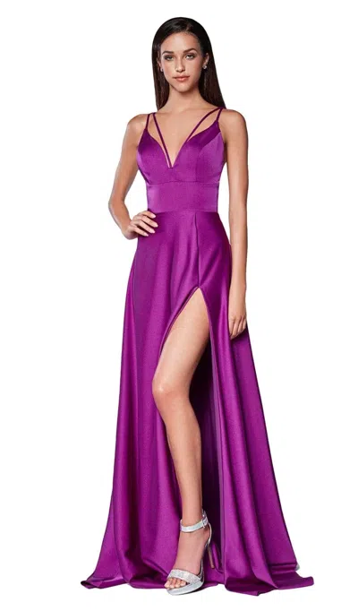 Ladivine Cs034 In Purple