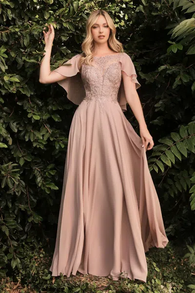 Ladivine Ht101 Formal Long A Line Mother Of The Bide Dress In Brown