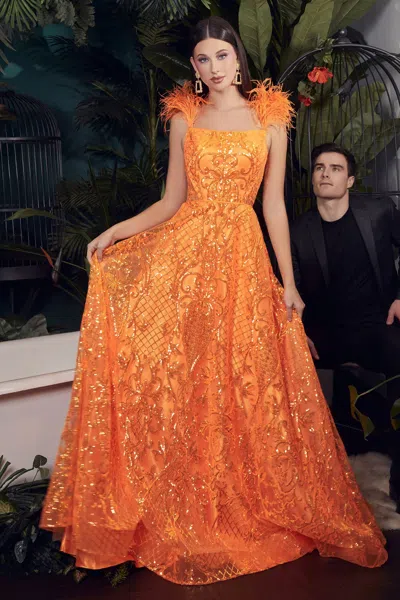 Ladivine Kv1076 Formal Long A Line Prom Dress In Orange