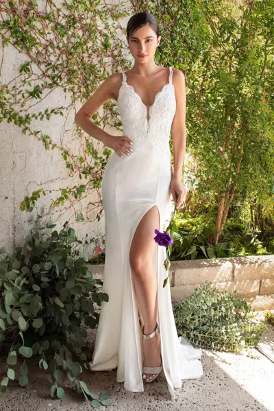 Ladivine Lace Wedding Dress In Off White