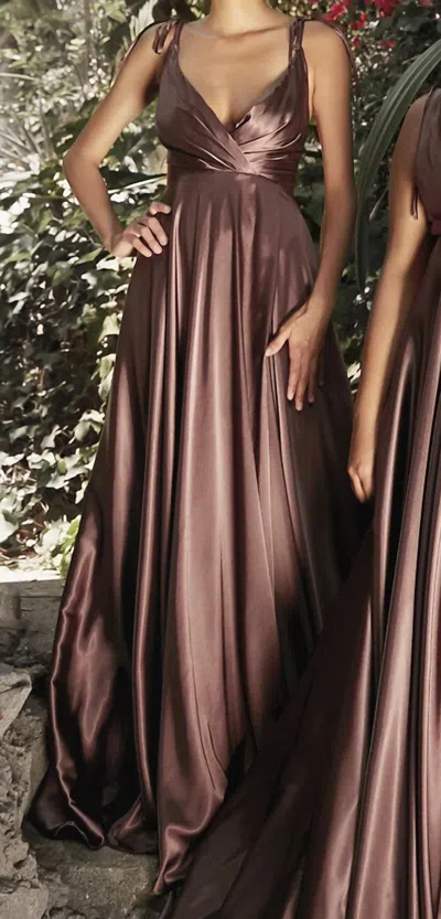 Ladivine Long Satin V-neck Dress In Mahogany In Brown