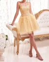Ladivine Pleated A-line Short Dress In Champagne