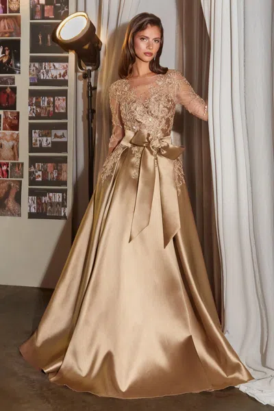 Ladivine S569 In Brown