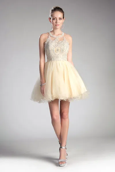 Ladivine Uj0119 Short Lace Applique Cocktail Dress In Gold