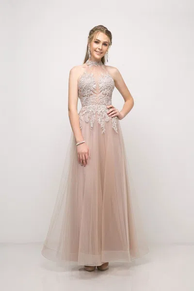 Ladivine Ut252 Long Formal A Line Lace Prom Dress In Multi