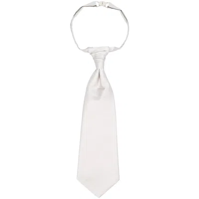 Lady Anne Silk Necktie In Gray