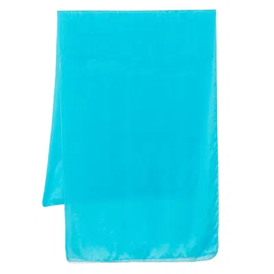 Lady Anne Silk Scarves & Gloves