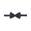 Lady Anne Silk Ties & Papillon
