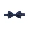 Lady Anne Silk Ties & Papillon