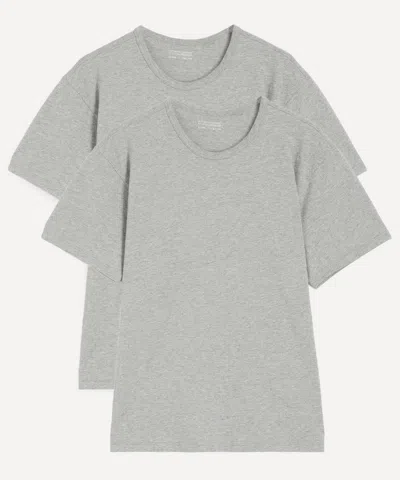 Lady White Co. Mens Our T-shirt Pack Of 2 In Gray