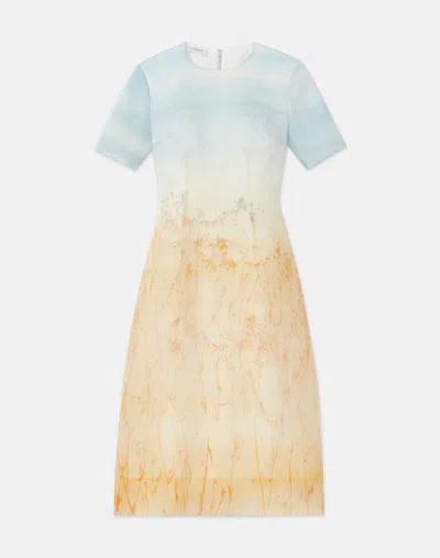 Lafayette 148 Marfa Print Silk Organza Short Sleeve Dress In Straw