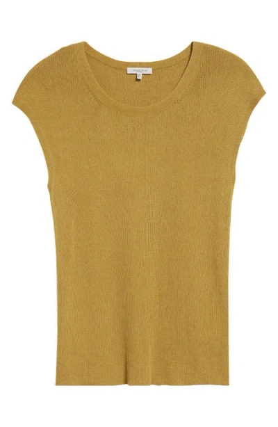 Lafayette 148 New York Cap Sleeve Rib Knit Top In Desert Grass