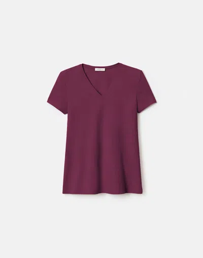 Lafayette 148 Plus Size Cotton Jersey Short Sleeve V Neck T Shirt In Violet Ash