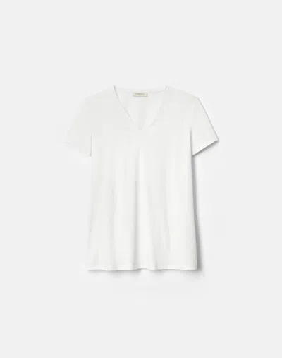 Lafayette 148 Plus Size Cotton Jersey Short Sleeve V Neck T Shirt In White