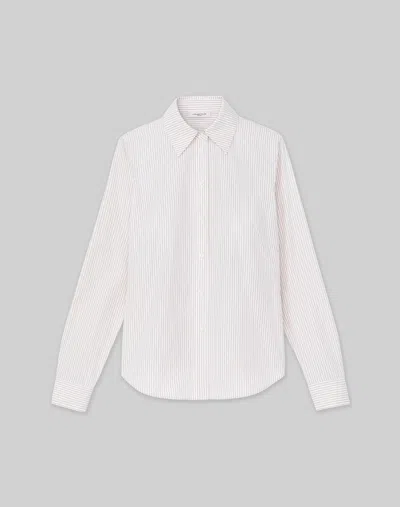 Lafayette 148 Plus-size Pinstripe Cotton Slim Shirt In Plaster