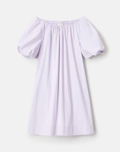 Lafayette 148 Travel Cotton Short Sleeve Shift Dress In Purple