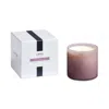 Lafco Midnight Cactus Candle