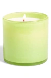 Lafco In Rosemary Eucalyptus