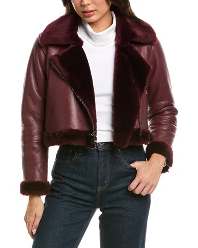 L'agence Pike Crop Shearling Jacket In Burgundy