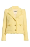 L'agence Sylvia Collared Jacket In Multi