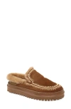 Laidback London Jun 4.0 Genuine Shearling Lined Slipper In Brown