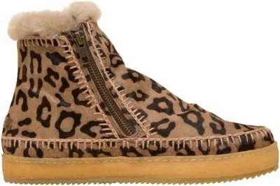 Laidback London Women's Furry Leopard Boots In Brown In Multi