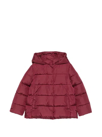 Lalalù Kids' Quilted Hooded Coat In Multi