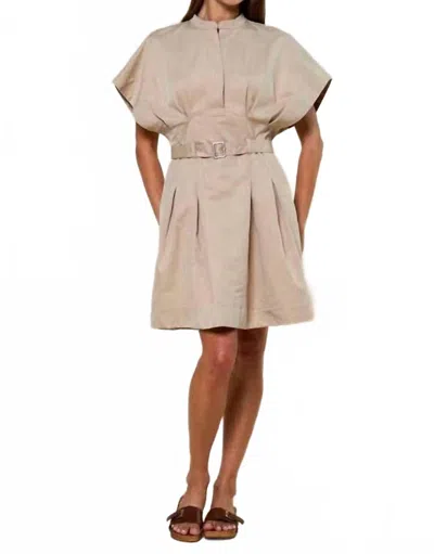 Lalavon Dolmani Pleated Mini Dress In Taupe In Neutral