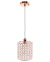 Lalia Home Laila Home 1-light Elipse Crystal Cylinder Pendant In Rose
