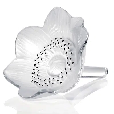 Lalique Anemone Crystal Flower Paperweight In Transparent