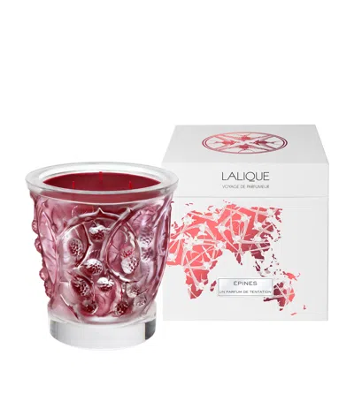 Lalique Épines Scented Candle In Burgundy
