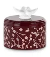 Lalique Fleurs De Cerisier Box In Pink