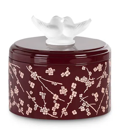 Lalique Fleurs De Cerisier Box In Transparent