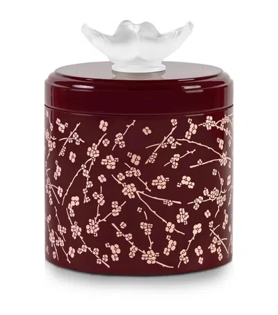Lalique Fleurs De Cerisier Box In Transparent