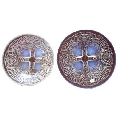 Pre-owned Lalique Plate And Bowl Shells In Gray