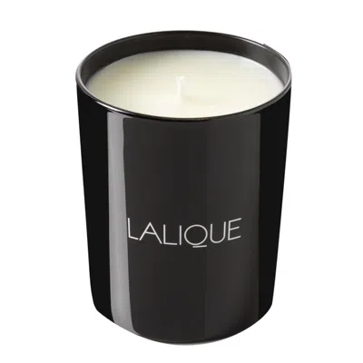 Lalique Unisex Figuier Amalfi Scented Candle Fragrances 7640111497431 In Multi