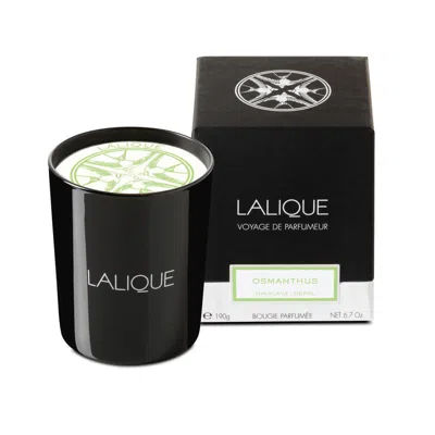 Lalique Unisex L'osmanthus Scented Candle 6.7 oz Fragrances 7640163971729